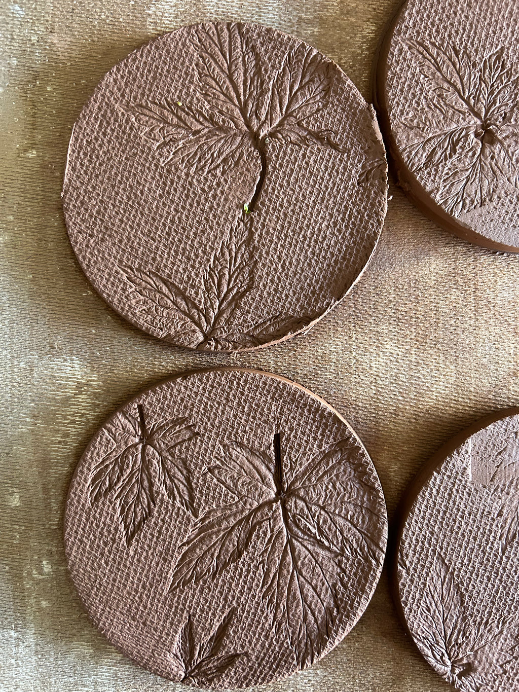 Atelier de façonnage - Impressions nature [Atelier]