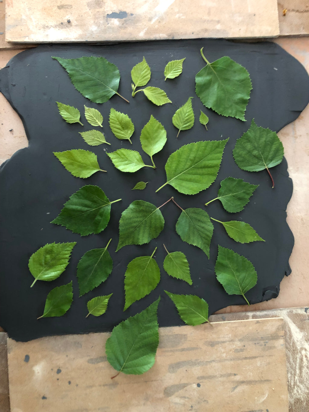 Atelier de façonnage - Impressions nature [Atelier]