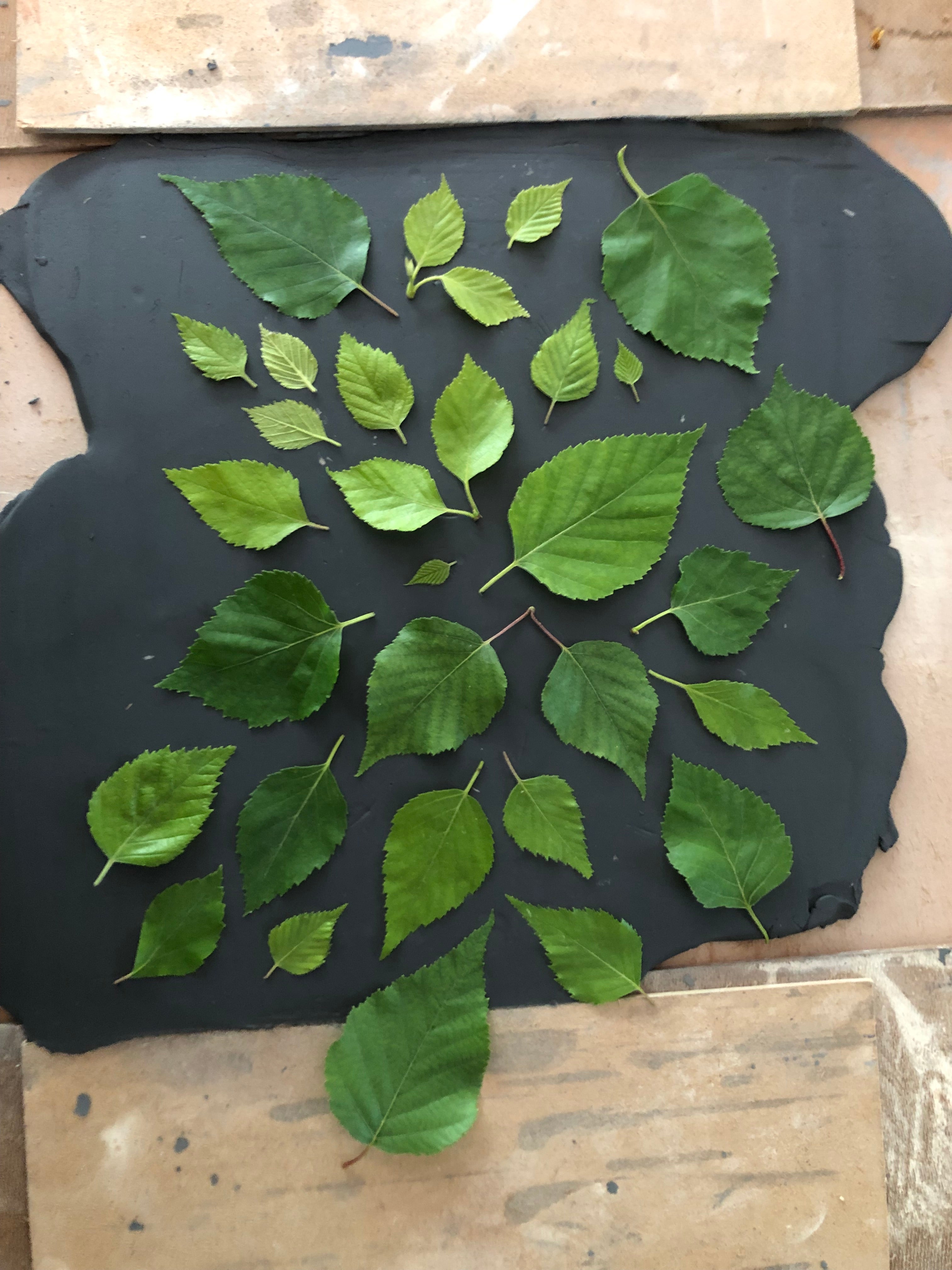 Atelier de façonnage - Impressions nature [Atelier]