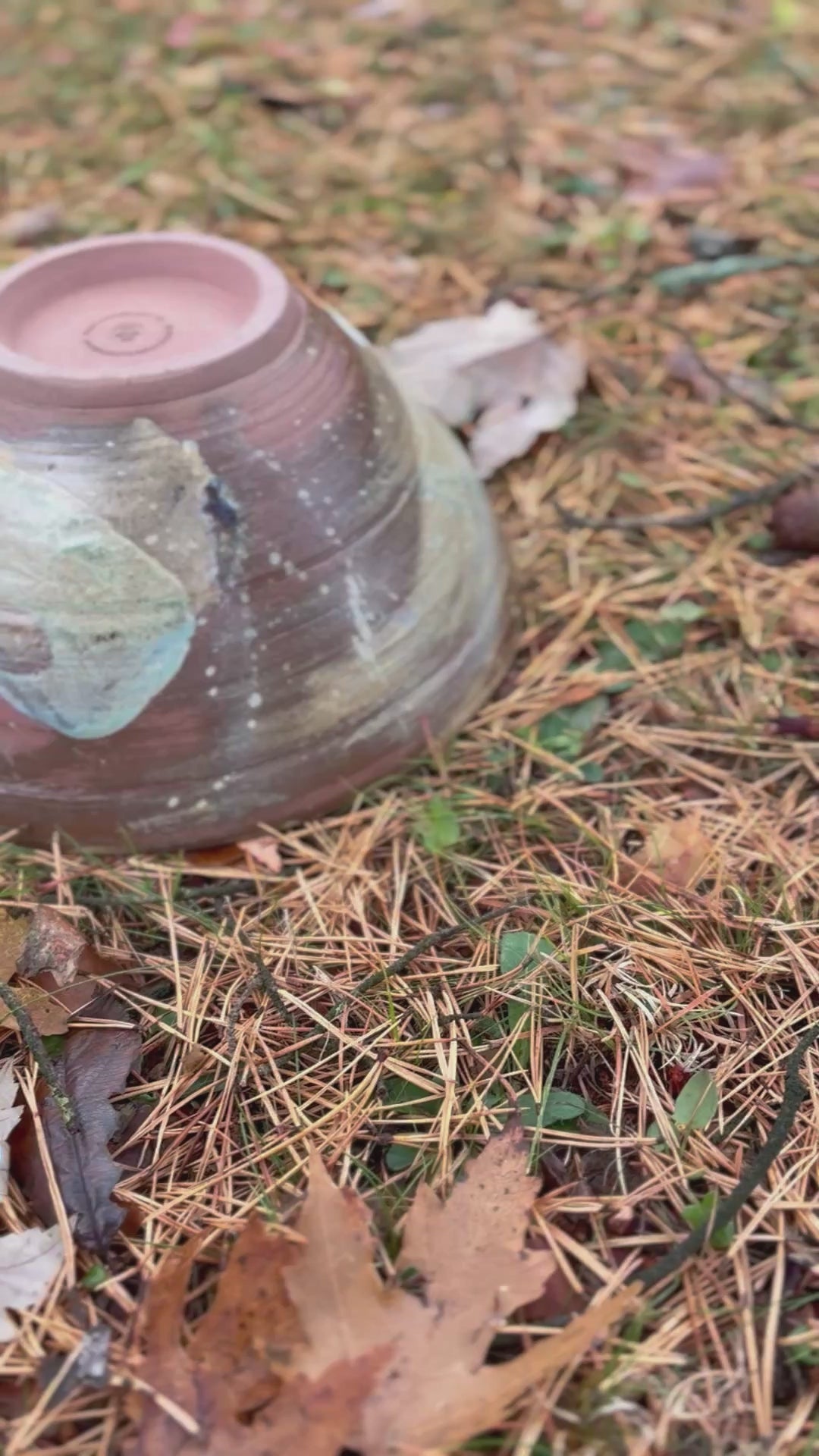 Fruit/Service bowl with copper and matte teal accents