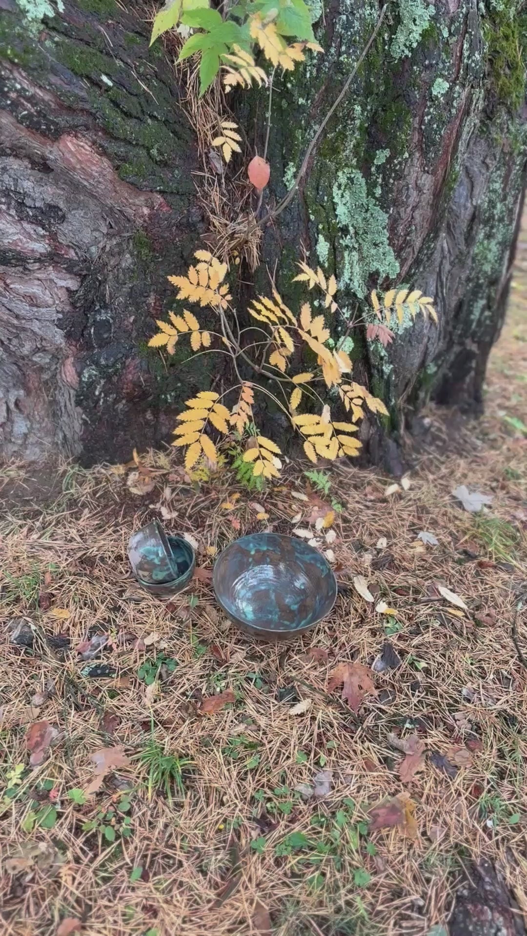 8" Service/Tonki Bowl with blue-green accents